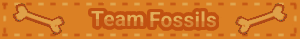 Team Fossils 4